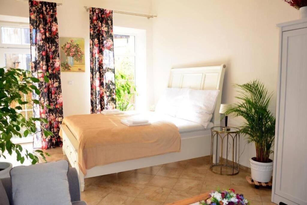 Apartment Elizabeth 1 Košice Εξωτερικό φωτογραφία